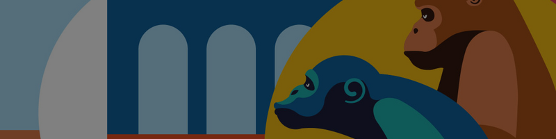 Futuradios au festival la Nuit de l'Erdre 2023 -